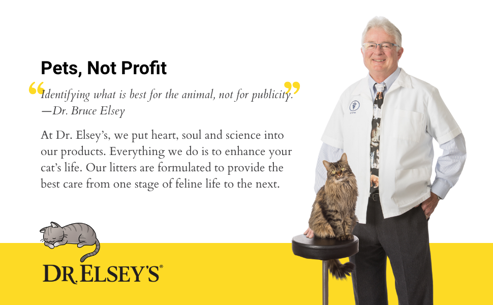 eb48a5d9-d545-4f3e-b018-ff1344d90d3c.__CR0,0,970,600_PT0_SX970_V1___